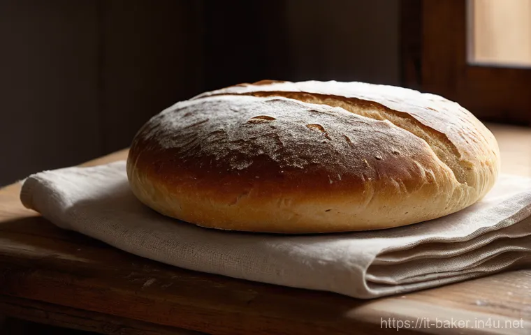 제과제빵 분야에서 자주 묻는 질문 FAQ - **A Warm Italian Kitchen: The Art of Dough Rising**
A close-up, warm and inviting scene in a tra...